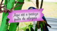 /album/galeria-de-fotos-pagina-inicial/a56626358-jpg/
