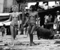 /album/conheca-um-pouco-do-inicio-nosso-paraiso/a1001315-537325716314444-1900195787-n-jpg/